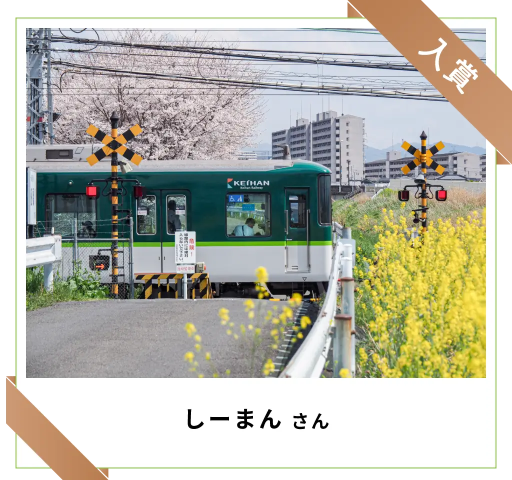 入賞　しーまんさん